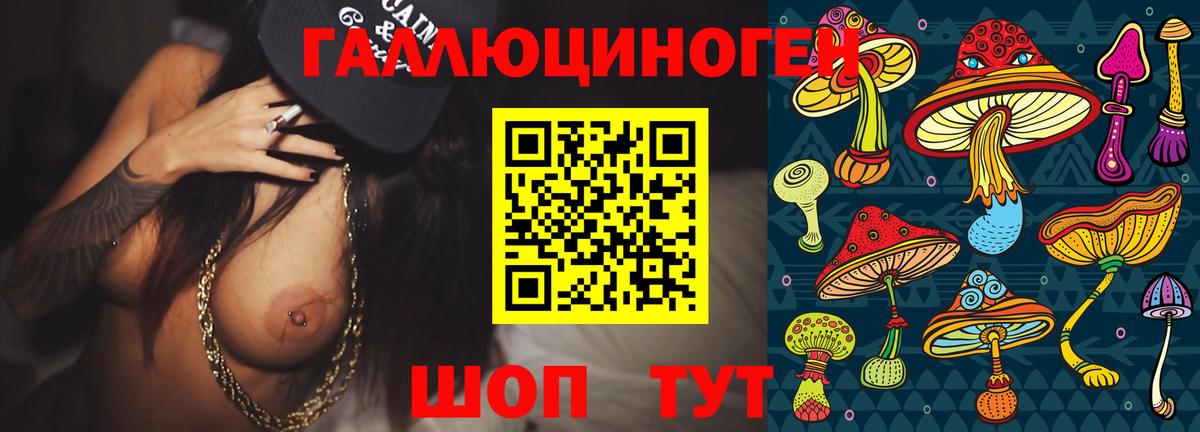 Псилоцибиновые грибы GOLDEN TEACHER  Псилоцибиновые грибы прущие грибы  Тутаев  Вход с VPN 
